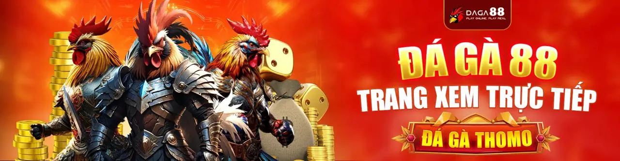 Sân đá gà trực tuyến s666 code sôi động
